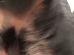 Horny dirty girl gets banged by dog