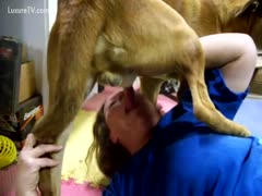 Listful Girl Loving Swallow Dog