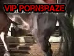 Super dick horse fucking tight ass