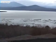 My sister Fucked By Dog out public