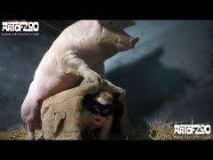 Pig Fuck Girl