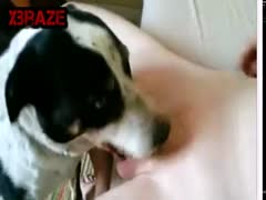 LItted Dog Loving Her Pussy