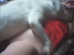 Good dog fuck woman free