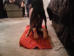 Dog digging orgy a woman