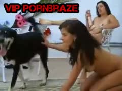 Husky Dog Threesome With 2 latina