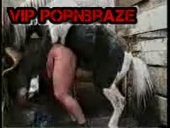 animal horse bang girl