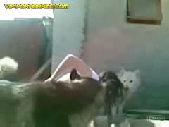 babe Mistress and her dog fucking on the bed