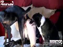 [Zoo] ArtOfZoo - Big Dog Fuck Her Pussy