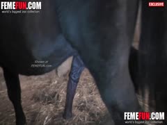 Blonde MILF deepthroat with horse