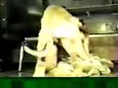 Amateur girl loves dog for sex