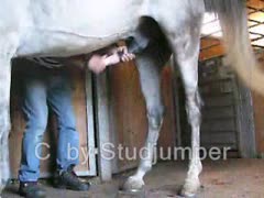 Sex Animal Porn