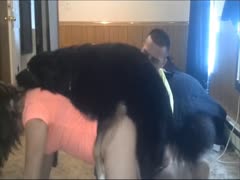 Big dog fucking orgy his wife - Dog porn