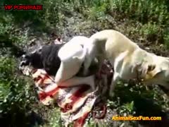 lustful pussy crazy from her dog outdoors