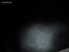 Amateur girl loves fucking dog hard