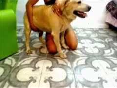 Dog fuck tattooed girl slut at home