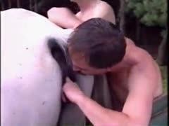 Public Man Fuck Horse