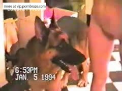 Bad dogs Fucking with her boss when her husband is away