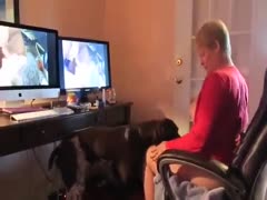 Real dog fucks woman Free POV