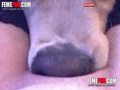 Horny Teen Girl Ass up For Dog fuck
