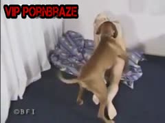 sexy young blonde really happy when fucking dog