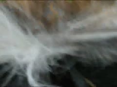 Meek goat gets a huge cock into her small pussy