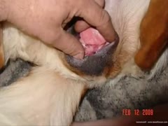 Gorgeous man fucking mare from behind