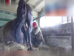 College Student Living Life to the Fullest: Experiencing the Thrill of Horseback Riding!