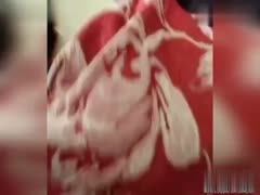 Shock and Awe! Incredible Discovery: Big Black Dog Knows How to 'Fuck My Wife'!
