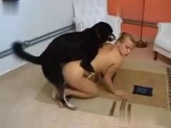 Sensational Scene of Big-Busted Dilettante Being Ravished by Her Dog!