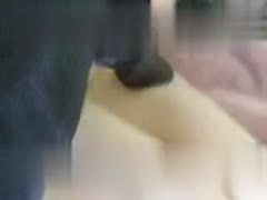 Playgirl Bimbo Gives Dog a Beastiality Lesson with Hot Dog Dick - Sex Watch High Quality!