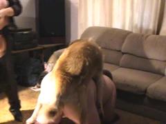 Gay man in dog threesome sex zoo porn xxx top watch animal sex xxx