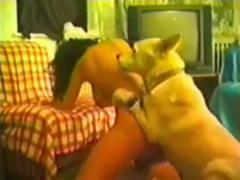 Behold the Wild and Unbelievable World of Zoo Porn Dog Sex!