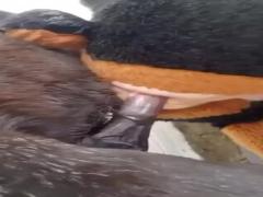 Shock and Awe: Witness the Unbelievable Reality of Horse Dog Sex in a Free Animal Porn Clip!