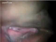 Oily wet crack fucked by nasty dick - Zoophilia xxx video zoo download animal video free