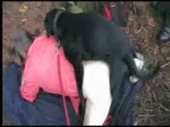 Drunk student gets fucked by her black dog in the forest - Zoo Porn Dog Sex, Zoophilia watch free porn video free porn animal video