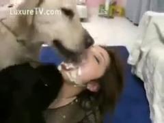 Spousal infidelity in Japan results in a brutal beating - Zoophilia