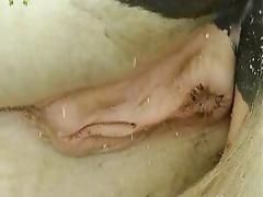 Watch free porn movie and free animal sex exclusively on our site, including animal pussy in hot animal porn.