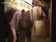 Zoophilia zoo porn xxx top - Zoophilia in the stable This is the biggest animal sex site in the world.