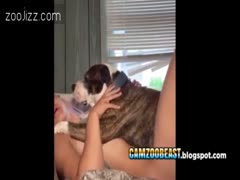 Amateur Girl feeling the mount xxx video zoo offers a variety of pornotypes for you to view.