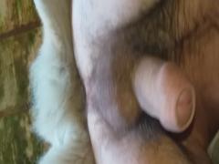Beautiful free xxx zoo sex with my dog Please select the categories for the incredibly appealing zoo sex movies and animal sex.