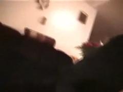 Animal sex caught on camera: Zoophilia, Zoo Porn