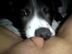 Lilp and her young puppy in the "Zoo Porn Dog Sex, Zoophilia" section of the website.