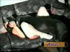 Dog fucks BBW busty woman on the couch in zoo porn and zoophilia