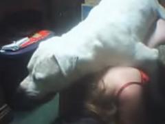 Zoo Porn Dog Sex, Zoophilia presents a scene in which a horny Russian brunette is fucked by her white doggie.